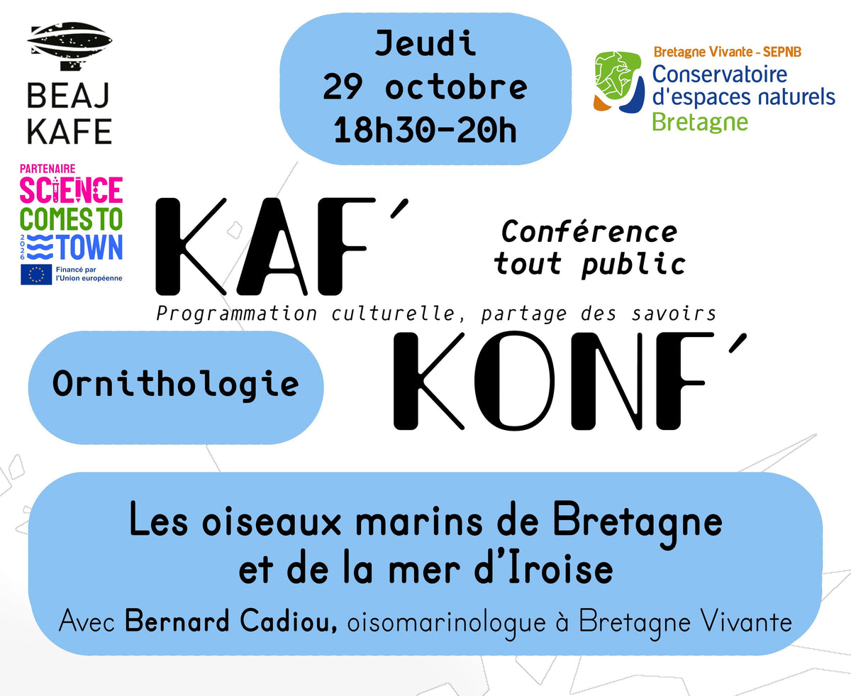 Les oiseaux marins de Bretagne et de la mer d'Iroise