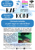 L'émissole tachetée, un petit requin en rade de Brest