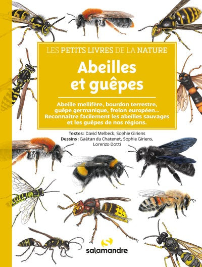 Abeilles et guêpes - BEAJ