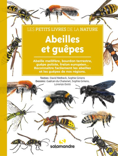 Abeilles et guêpes - BEAJ