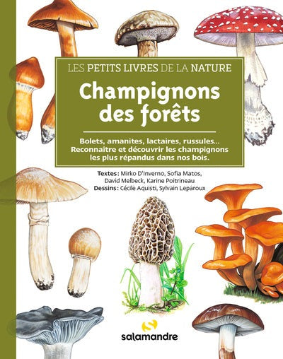 Les petits livres de la nature - Champignons des forêts - BEAJ