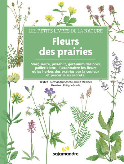 Les petits livres de la nature - Fleurs des prairies - BEAJ