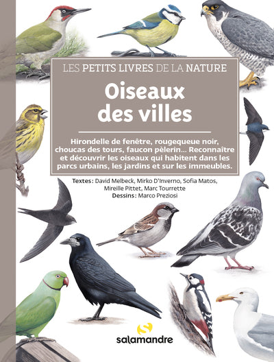Les petits livres de la nature - Oiseaux des villes - BEAJ