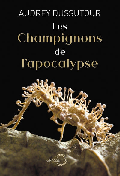 Les champignons de l'apocalypse - BEAJ