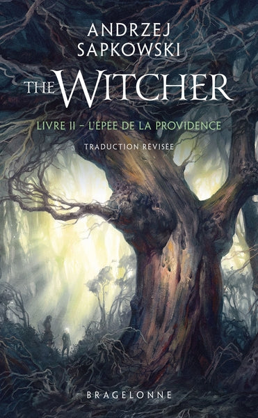 Sorceleur (Witcher) - Poche, T2 : L'Épée de la providence (traduction révisée) - BEAJ