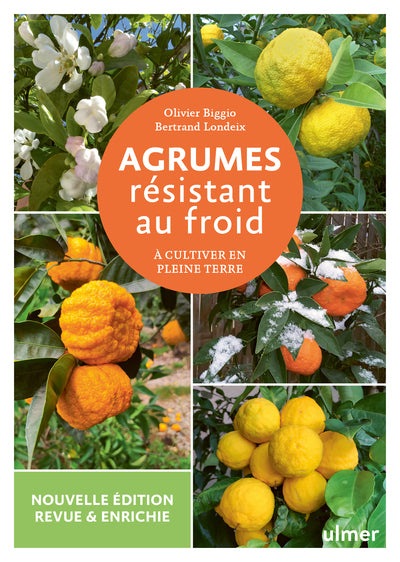 Agrumes résistant au froid - BEAJ
