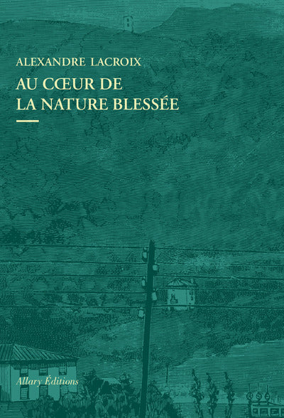 Au coeur de la nature blessee - Apprendre a voir les paysages du XXIe siecle - BEAJ