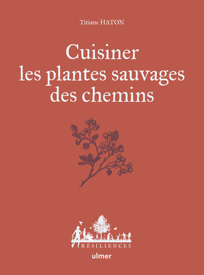 Cuisiner les plantes sauvages des chemins - BEAJ