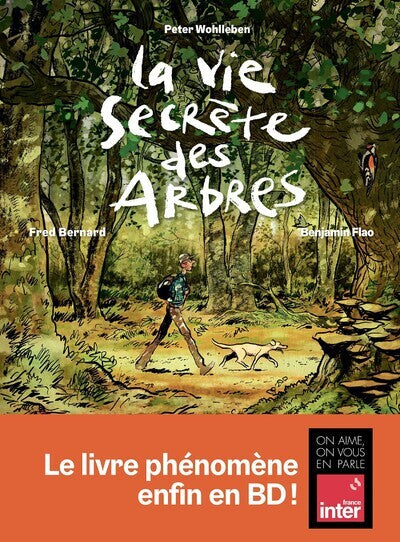 La Vie secrète des arbres en BD - BEAJ