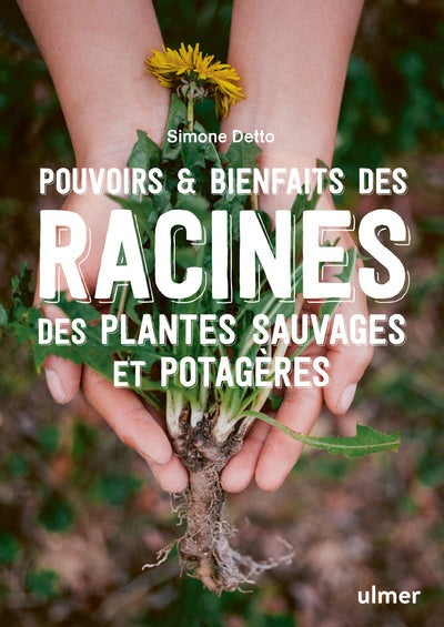 Pouvoirs & bienfaits des racines des plantes sauvages et potagères - BEAJ
