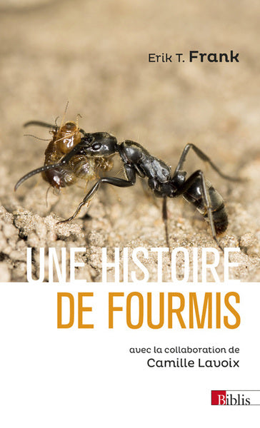 Une histoire de fourmis - BEAJ