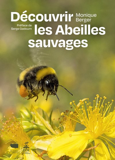 Découvrir les abeilles sauvages - BEAJ