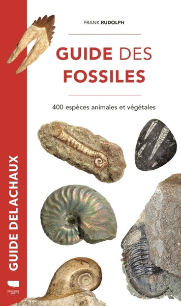 Guide des fossiles - BEAJ