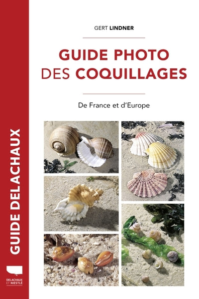 Guide photo des coquillages - BEAJ