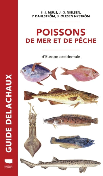 Poissons de mer et de pêche - BEAJ