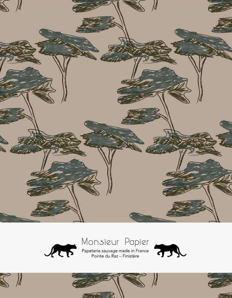 Carnet de dessin Landes - BEAJ