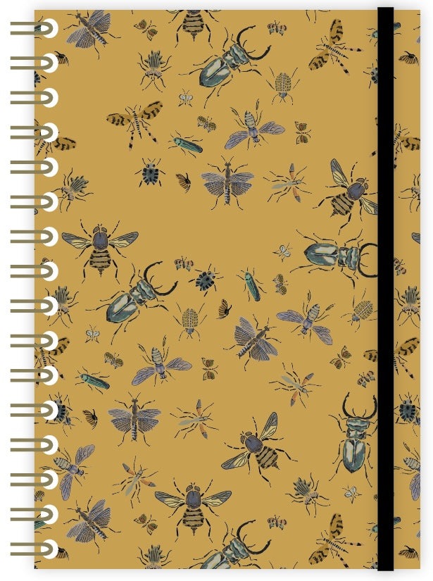 Gros spirale Métamorphoses - BEAJ