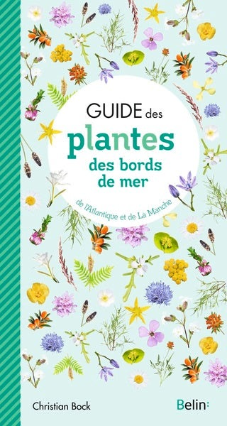 Guide des plantes des bords de mer - BEAJ