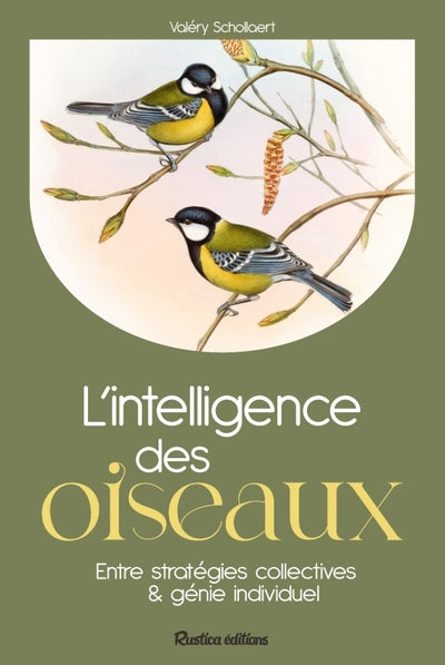 L'intelligence des oiseaux - BEAJ