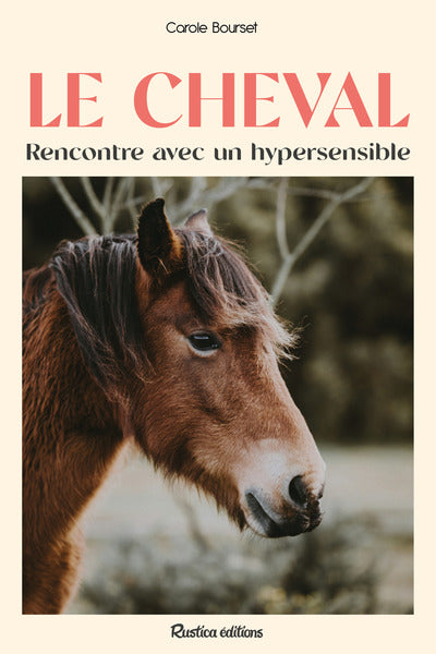 Le cheval : rencontre avec un hypersensible - BEAJ