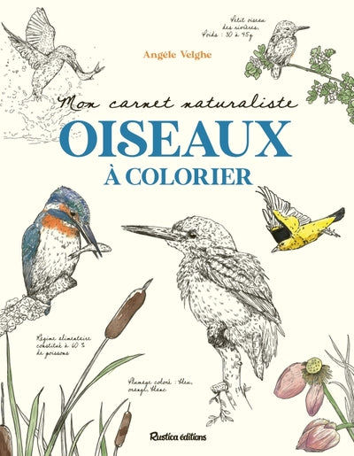 Mon carnet naturaliste Oiseaux à colorier - BEAJ