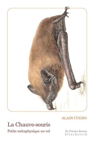 La Chauve-souris - BEAJ