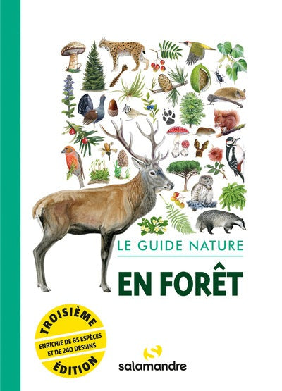 Le guide nature en forêt - BEAJ