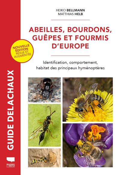 Abeilles, bourdons, guêpes et fourmis d'Europe - BEAJ