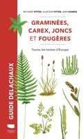 Graminées, carex, joncs et fougères