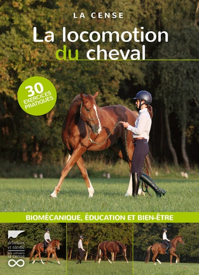 La Locomotion du cheval - BEAJ