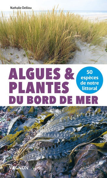 Algues et plantes du bord de mer - 50 espèces de notre littoral