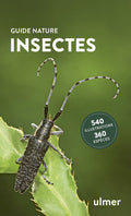 Insectes - BEAJ