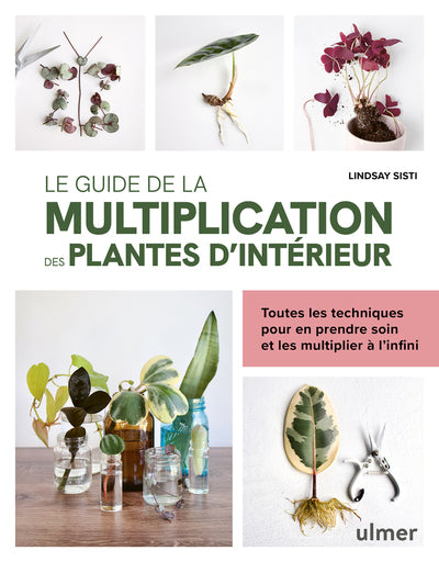 Le guide de la multiplication des plantes d'intérieur - Toutes les techniques pour en prendre soin et les multiplier à l'infini - BEAJ