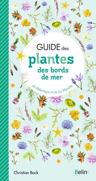 Guide des plantes des bords de mer - BEAJ