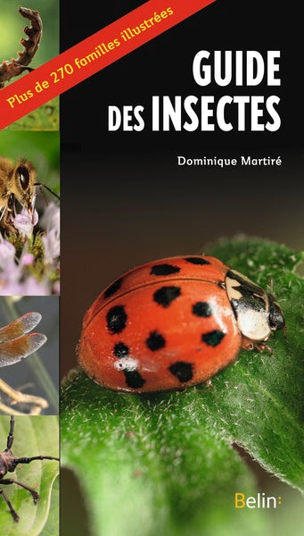 Le guide des insectes - BEAJ